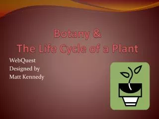 Botany &amp; The Life Cycle of a Plant