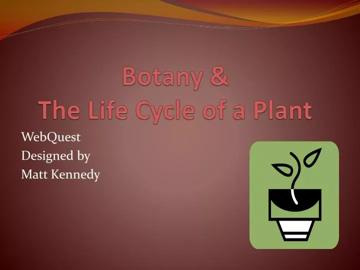 botany the life cycle of a plant