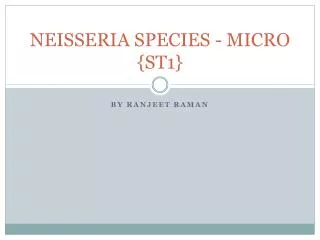 NEISSERIA SPECIES - MICRO {ST1}