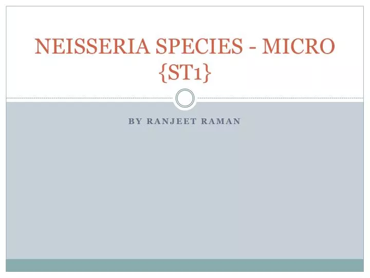 neisseria species micro st1