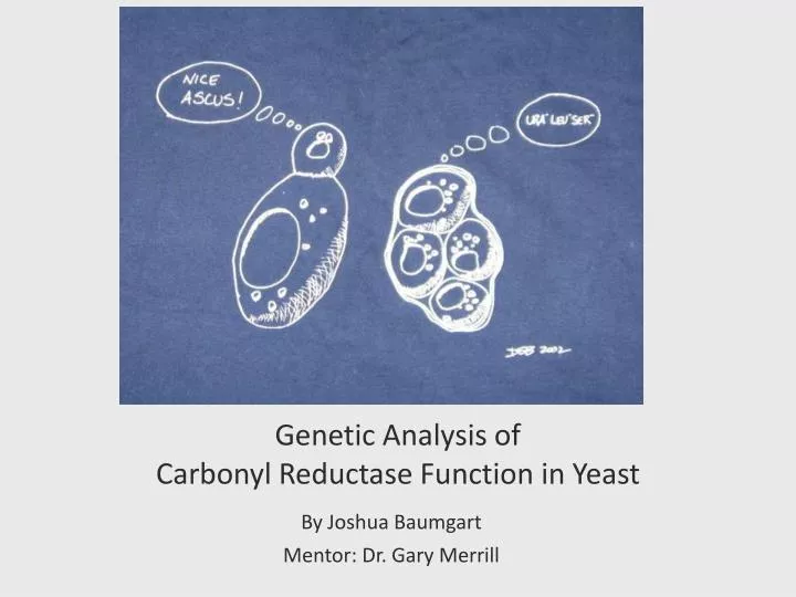 genetic analysis of carbonyl reductase function in yeast
