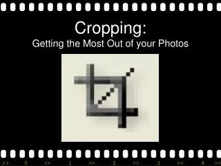 Cropping: Getting the Most Out of your Photos