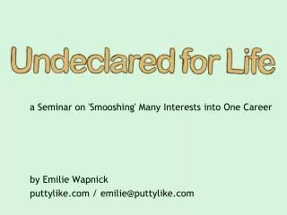 a Seminar on 'Smooshing' Many Interests into One Career by Emilie Wapnick