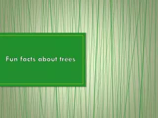 Fun f acts about trees
