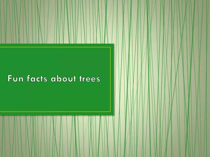 fun f acts about trees