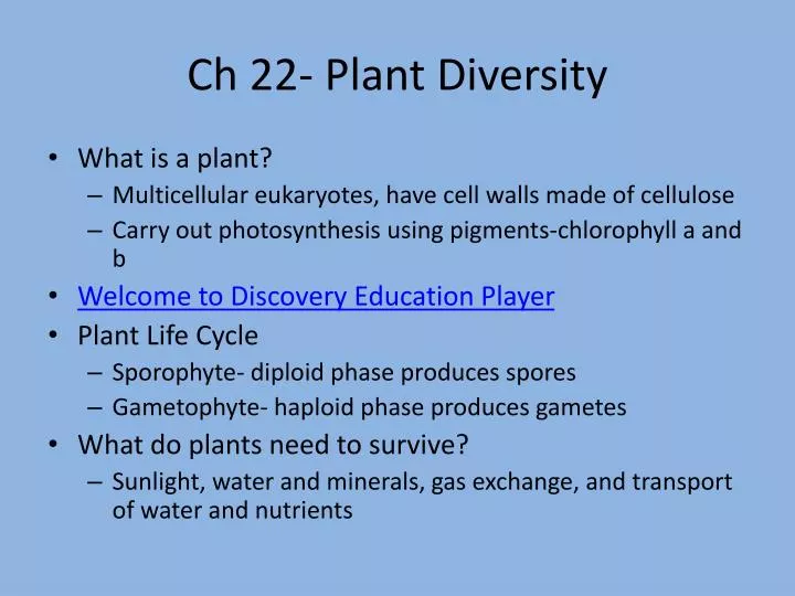 ch 22 plant diversity