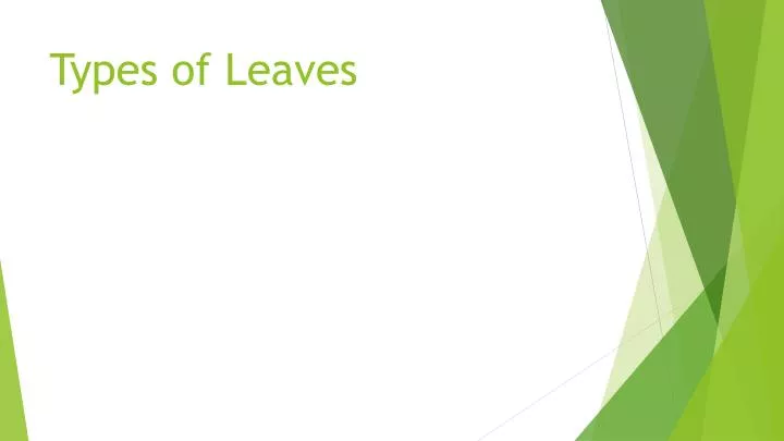 types of leaves