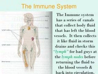 The Immune System