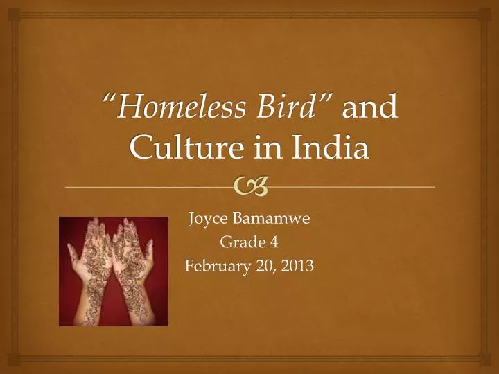 homeless bird and culture in india