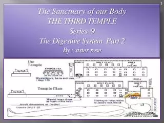 The Sanctuary of our Body THE THIRD TEMPLE Series 9 The Digestive System Part 2
