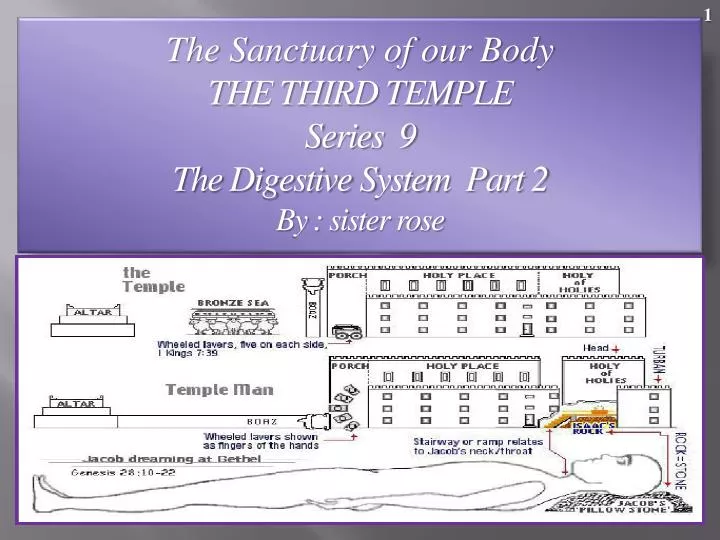 the sanctuary of our body the third temple series 9 the digestive system part 2 by sister rose