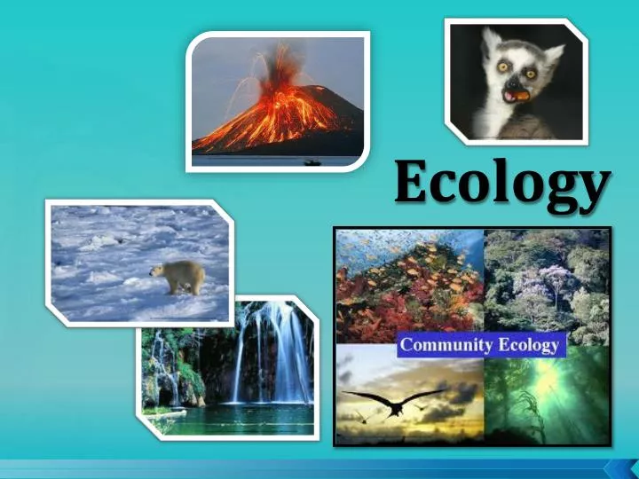 ecology