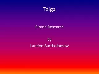 taiga