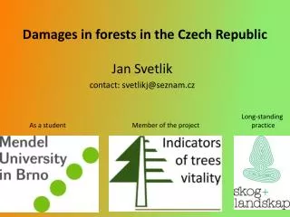 Damages in forests in the Czech Republic