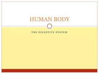 human body