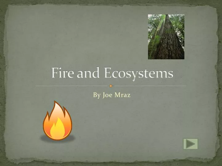 fire and ecosystems