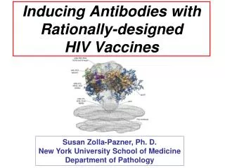 inducing antibodies with rationally designed hiv vaccines