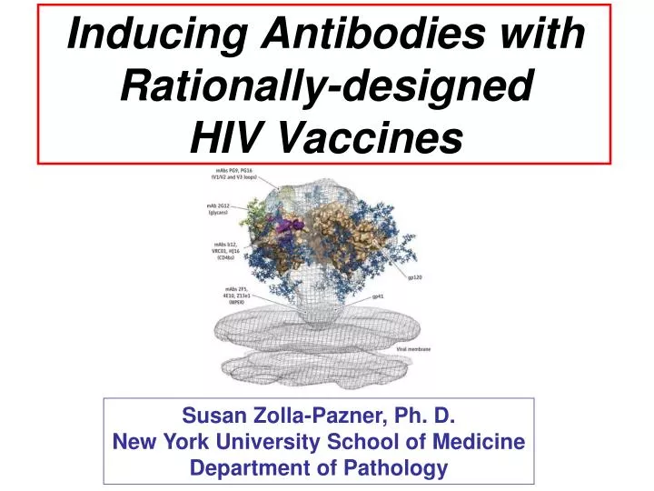 inducing antibodies with rationally designed hiv vaccines