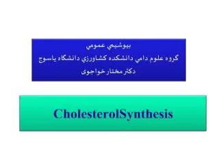 CholesterolSynthesis