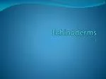 Echinoderms - slide 1
