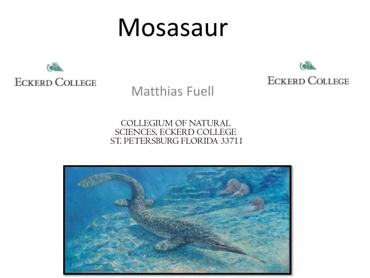 mosasaur