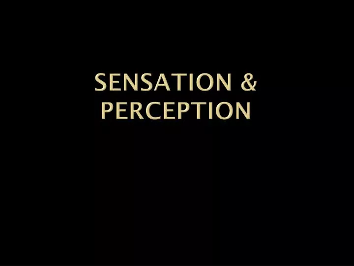 sensation perception