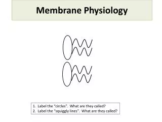 Membrane Physiology