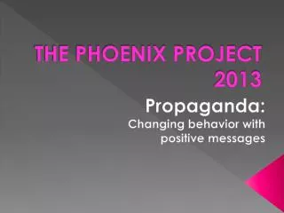 THE PHOENIX PROJECT 2013