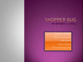 Shopper Bug By: Gwyneth A. Lovell