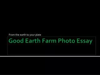 Good Earth Farm Photo Essay