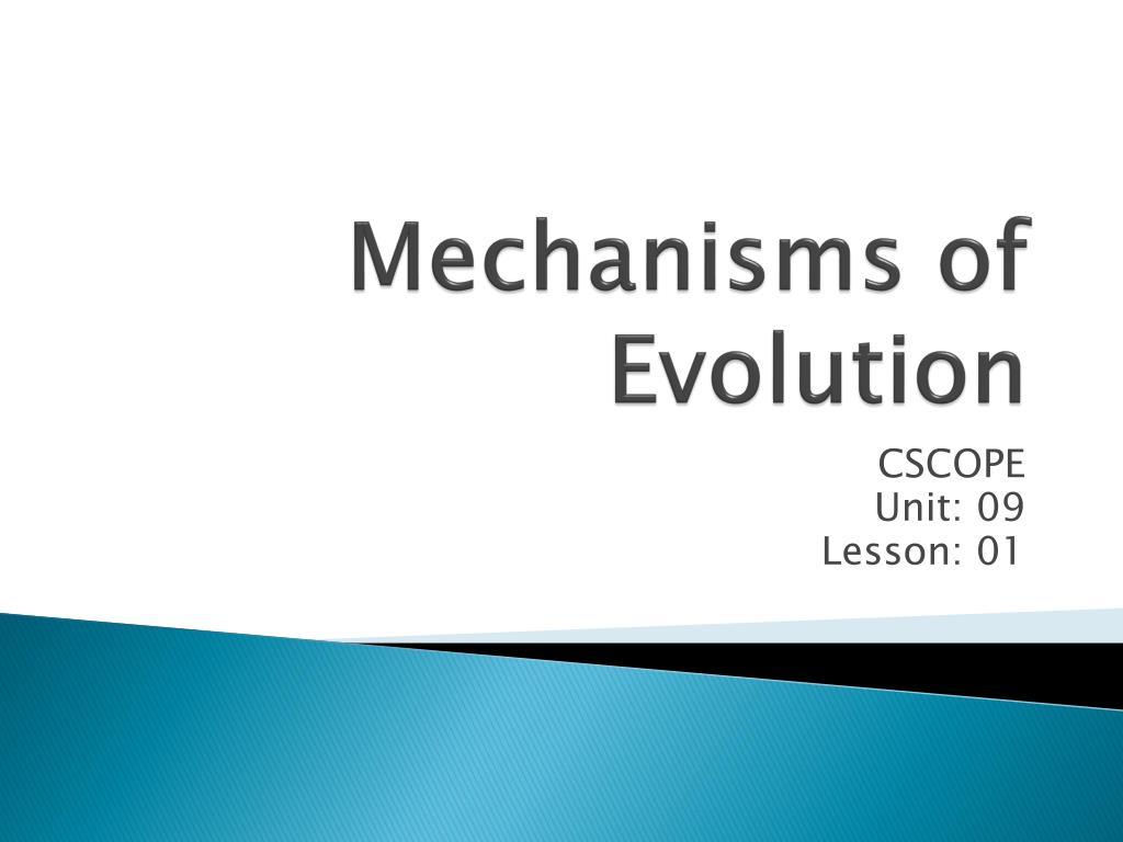PPT - Mechanisms of Evolution PowerPoint Presentation, free download ...