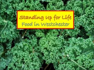 Standing Up for Life Food in Westchester