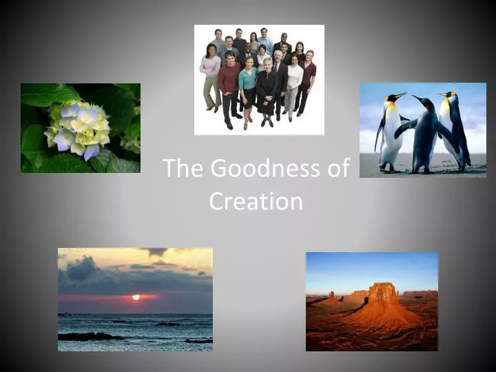the goodness of creation