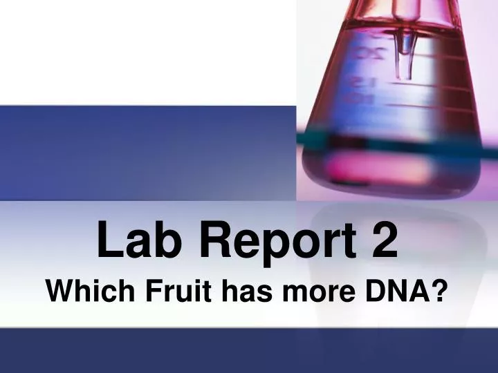 lab report 2