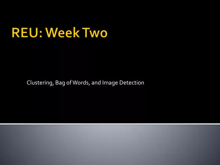 clustering bag of words and image detection