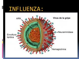 influenza