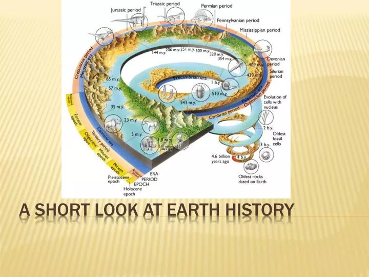 a short look at earth history