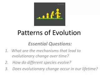 Patterns of Evolution