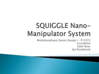 SQUIGGLE Nano-Manipulator System