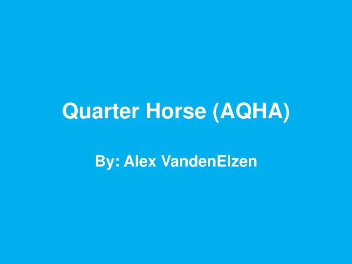 quarter horse aqha