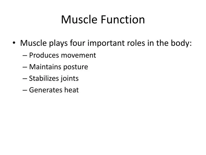 muscle function