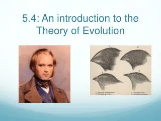 5.4: An introduction to the Theory of Evolution