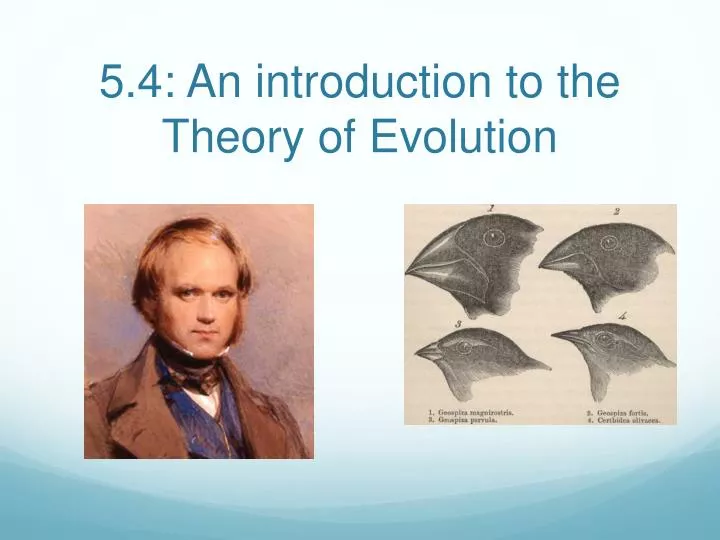 5 4 an introduction to the theory of evolution