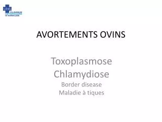 avortements ovins