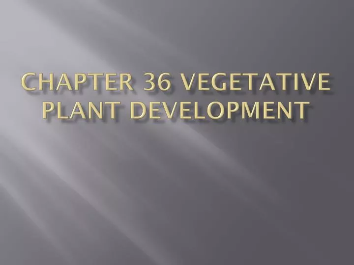 chapter 36 vegetative plant development