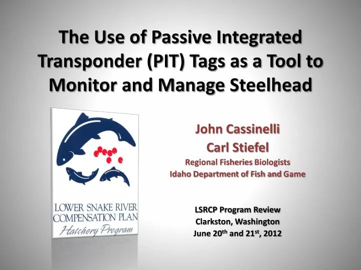 the use of passive integrated transponder pit tags as a tool to monitor and manage steelhead