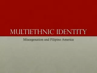 Multiethnic identity