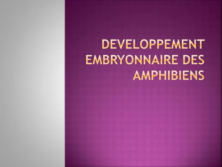 developpement embryonnaire des amphibiens