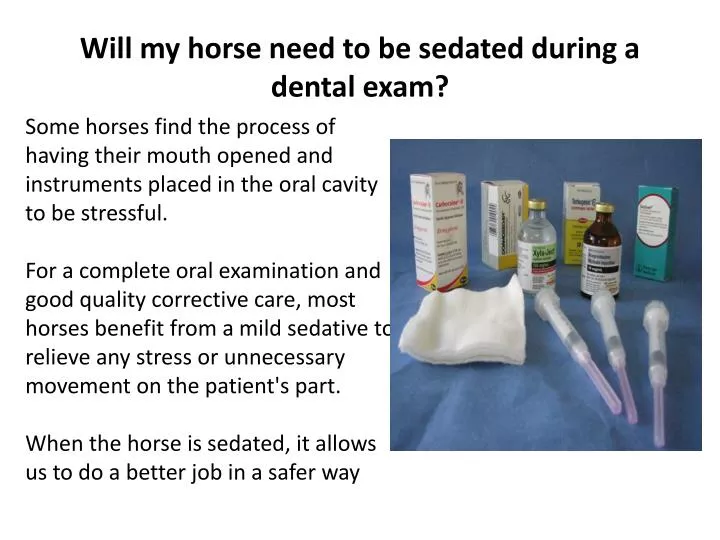 will my horse need to be sedated during a dental exam