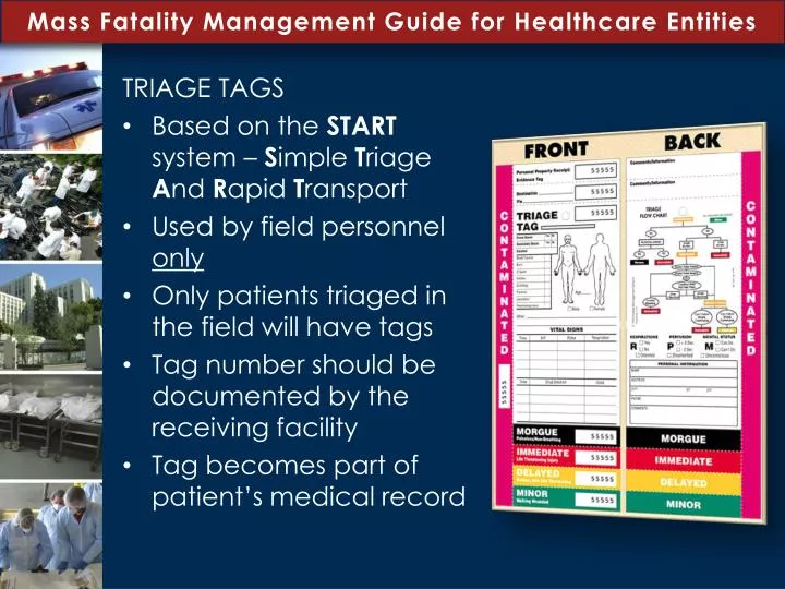mass fatality management guide for healthcare entities